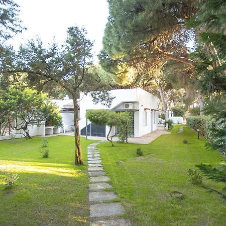 Villa Eucalipto Валледория Экстерьер фото